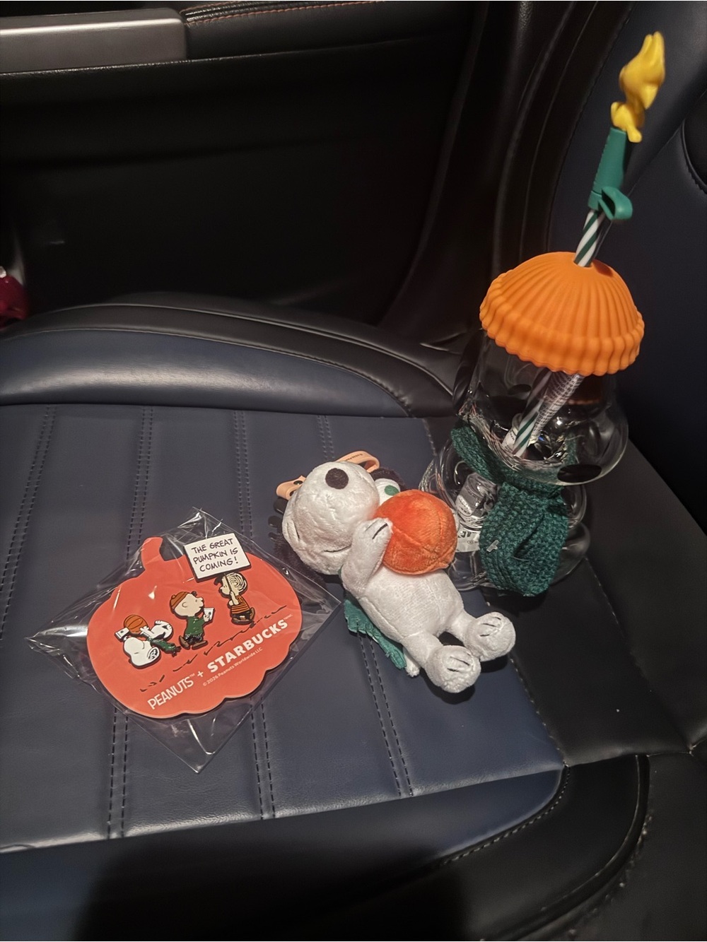 Starbucks x Peanuts Snoopy Fall bundle